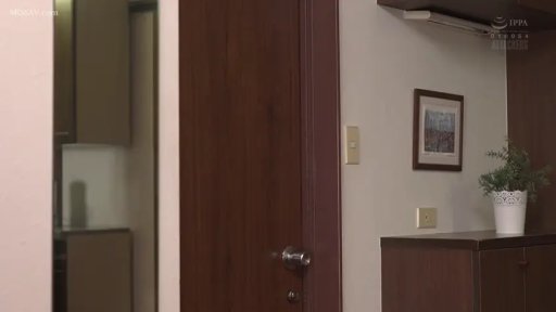 Indoor · Potted plant · 场景 · 环境特写