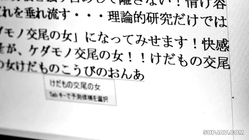 电脑 · 文字 · 日文 · 屏幕 · 显示