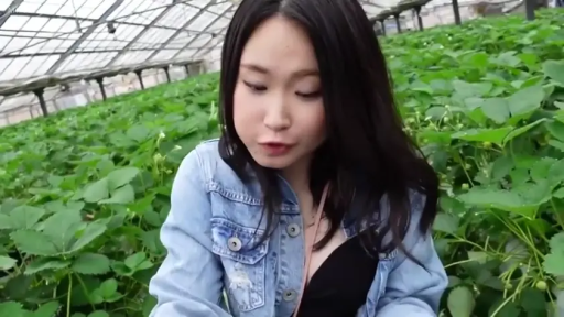 Squat position · Half-body close-up · bland · 黑色内搭 · 植物 · 观察行为 · 温室 · 户外采摘