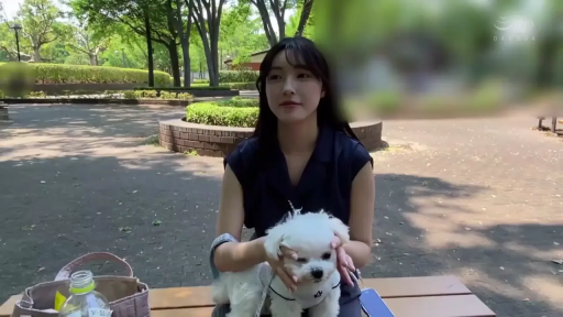 坐姿 · 单人 · 平静 · 公园 · 深色背心 · 抱宠物 · 白色小狗