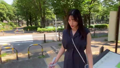 中景 · 平静 · 行走 · 挎包 · 散步 · 街头 · 深色连衣裙 · 公园路口