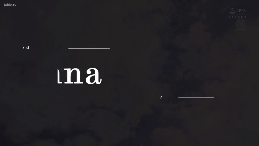 文字特写 · 视频标题画面