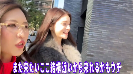 交谈 · 皮草大衣 · 眼镜 · 微笑 · 行走 · 侧脸特写 · 户外街头 · 日文字幕