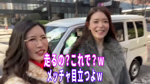 交谈 · 皮草外套 · 中景 · 站姿 · 微笑 · 街道 · 有字幕 · 汽车