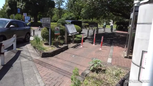 站立 · 远景 · 休闲服 · 公园 · 无表情 · 汽车 · 白天 · 日常行为