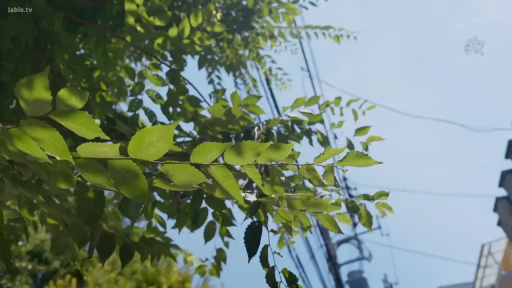 室内 · ネックレス · 顔のクローズアップ · 俯视 · 观看 · 紫色条纹衫 · 懸念集中 · プロット近景