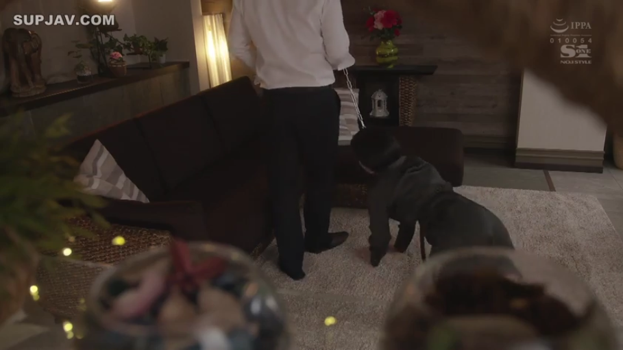 客厅 · BDSM · 远景 · 跪爬 · 锁链 · 正装 · 牵引