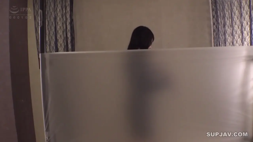 室内 · 遮挡 · 站立 · 远景 · 不详 · 不详 · 剪影 · 磨砂塑料帘