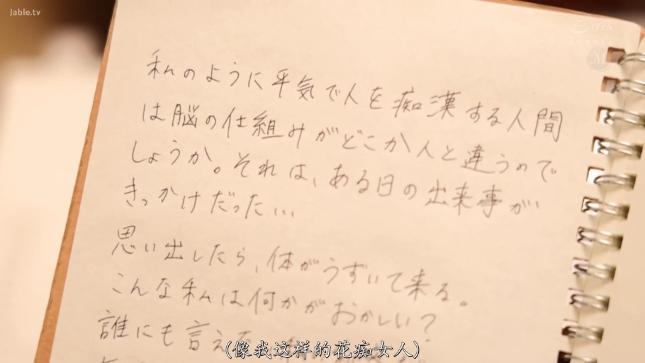 室内 · 文字特写 · 笔记本 · 叙述 · 日记内容