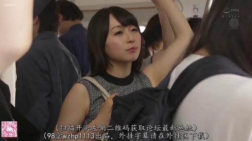 上半身 · 乘车 · 平淡 · 痴汉题材 · 吊环 · 拥挤电车 · 扶手站立 · 无袖格纹上衣