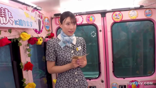 站立 · 中景 · 自然 · 巴士内 · 假花 · 乘务员制服 · 拿票