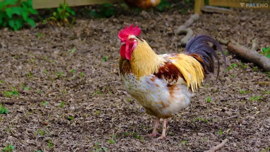 全身 · 站立 · 户外