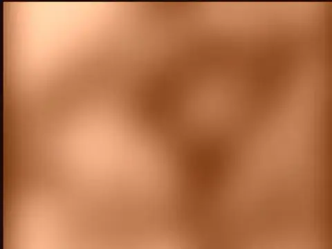 特写 · 模糊 · 无法辨认