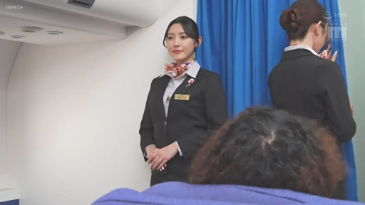 站立 · 制服誘惑 · 职业微笑 · 空姐制服 · 飞机机舱 · 名牌 · 服务中
