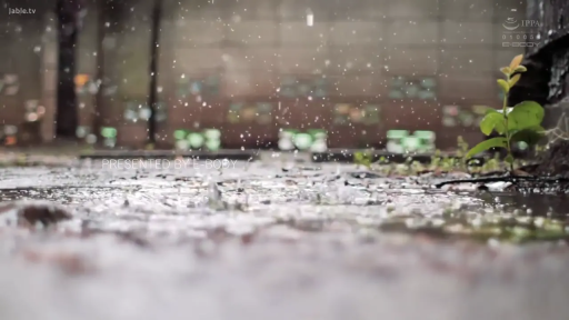 户外 · 转场镜头 · 雨滴特写 · 自然景象 · 小草