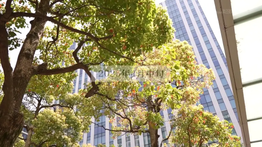 室内 · 露乳 · 胸部のクローズアップ · 站立 · レースの下着 · 指輪 · 日文字幕