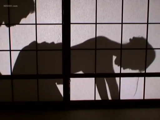 性交 · 和室 · 后入式 · 裸体 · 剪影 · 障子