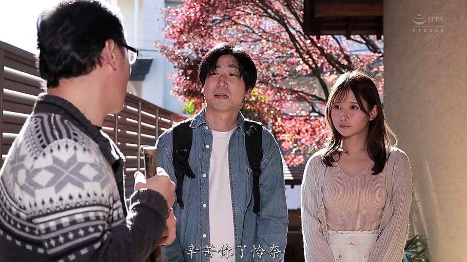性交 · 仰卧开腿 · 沙发 · 客厅 · 裸体 · 有码 · 模糊 · 生殖器