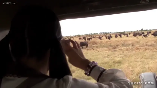 Sitting Posture · 车内 · 观望 · 手部特写 · 长袖衬衫