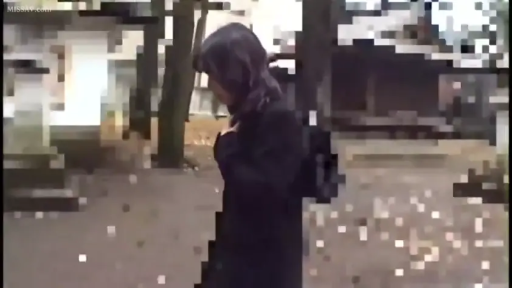 上半身 · 公园 · 走姿 · 捂胸 · 慌张 · 黑色大衣 · 低清