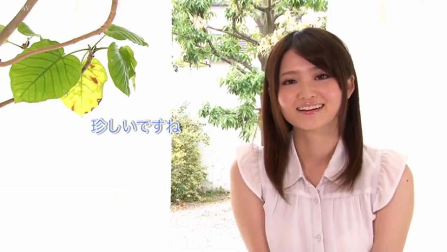 室内 · 座り姿勢 · 中景 · 微笑 · カメラに向かって · 植物 · 无袖衬衫 · 日本女优