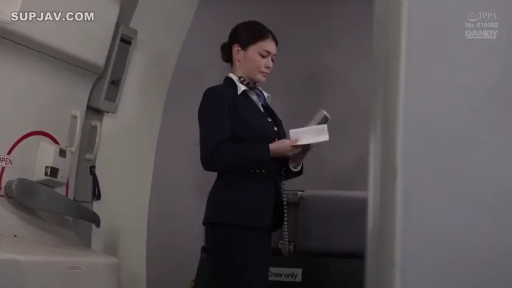 严肃 · 全身 · 站立 · 制服 · 阅读 · 机舱 · 票据