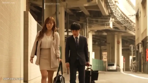 全身 · 行李箱 · 自然 · 职业装 · 行走 · 户外 · 都市 · 携带行李