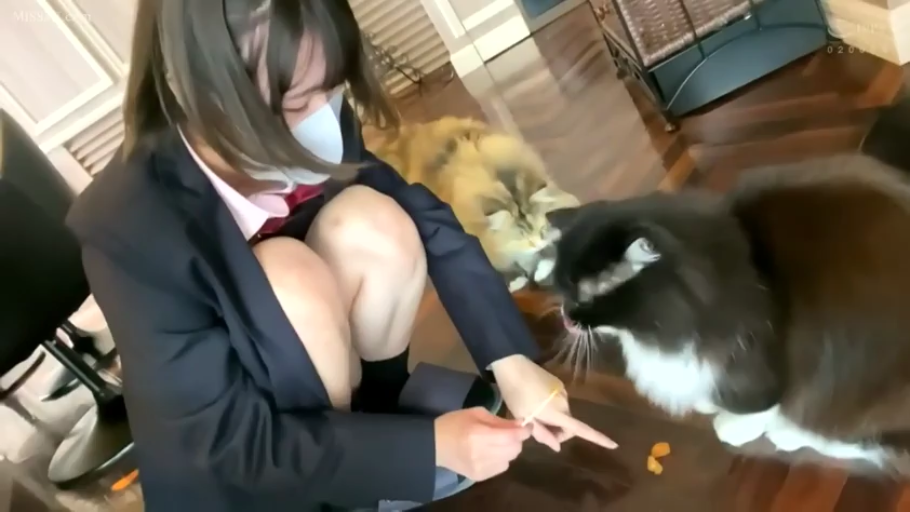 室内 · 全身 · 蹲姿 · 制服 · 日系 · 戴口罩 · 猫 · 喂猫