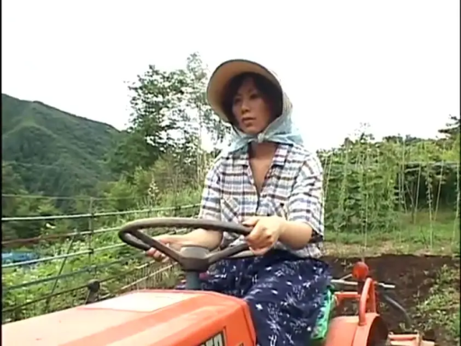 坐姿 · 自然 · 驾驶 · 格子衫 · 农田 · 拖拉机