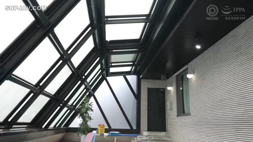 全景 · 盆栽 · 阳光房 · 室内设计