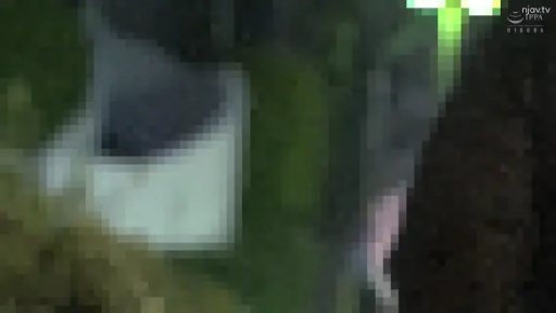 不可視 · 不可視 · 重度马赛克